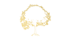 OptIn Logo